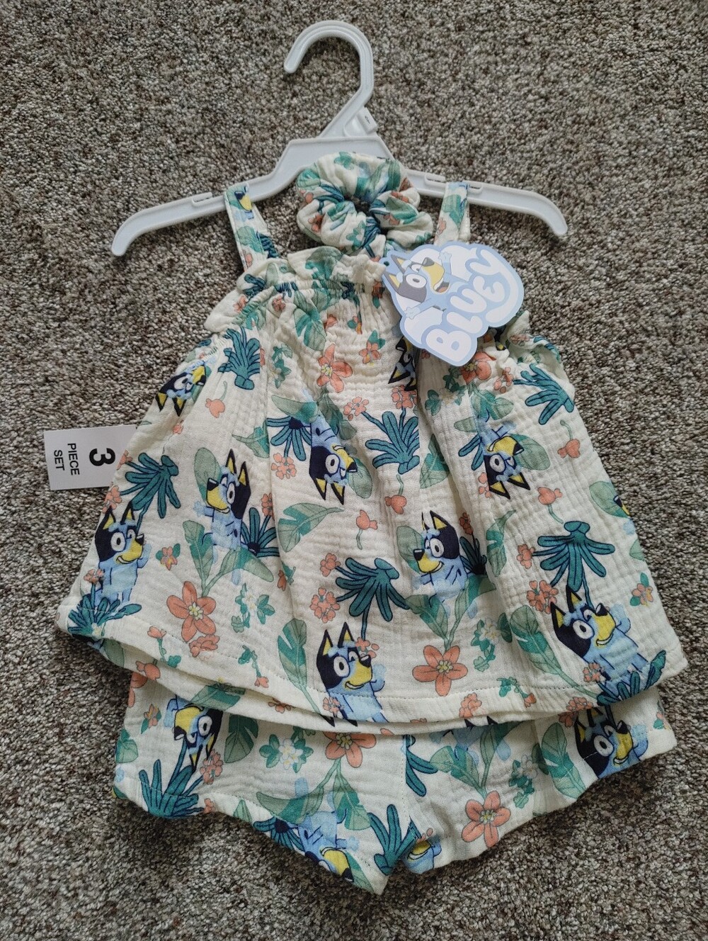Girls 5T bluey 3 piece set